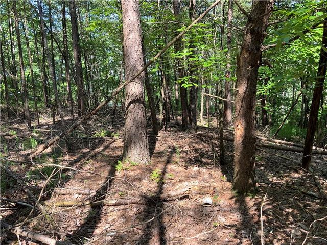 1335 Birch Lane, Ranger, GA 30734