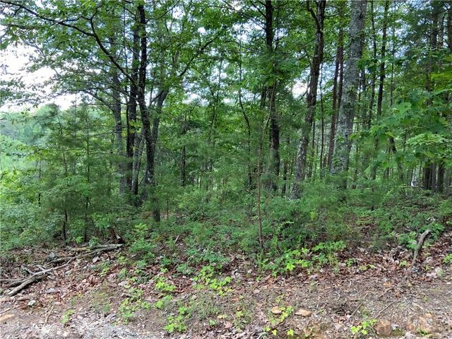 1335 Birch Lane, Ranger, GA 30734