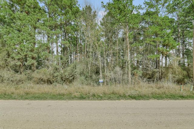 Lot 719 Sand Dollar Drive, Livingston, TX 77351