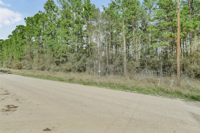 Lot 719 Sand Dollar Drive, Livingston, TX 77351
