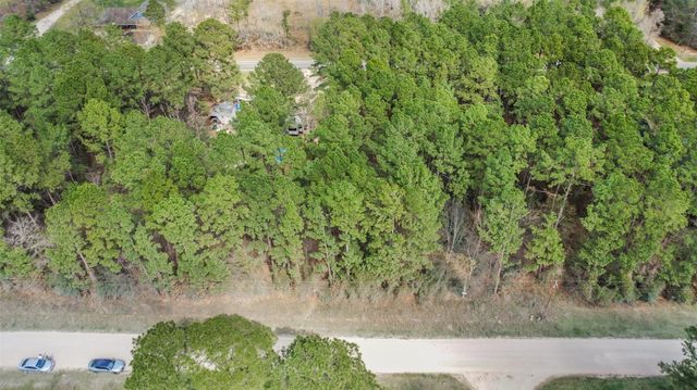 Lot 719 Sand Dollar Drive, Livingston, TX 77351