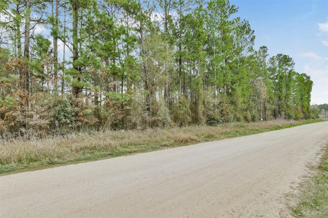 Lot 719 Sand Dollar Drive, Livingston, TX 77351