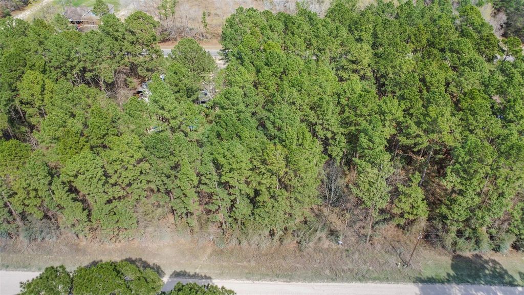 Lot 719 Sand Dollar Drive, Livingston, TX 77351