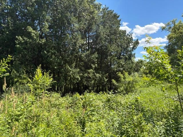 2835 Hadley Valley Road NE, Rochester, MN 55906