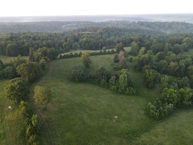 4 Shiloh Canaan Road, Palmyra, TN 37142
