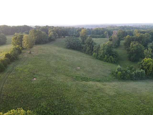 4 Shiloh Canaan Road, Palmyra, TN 37142