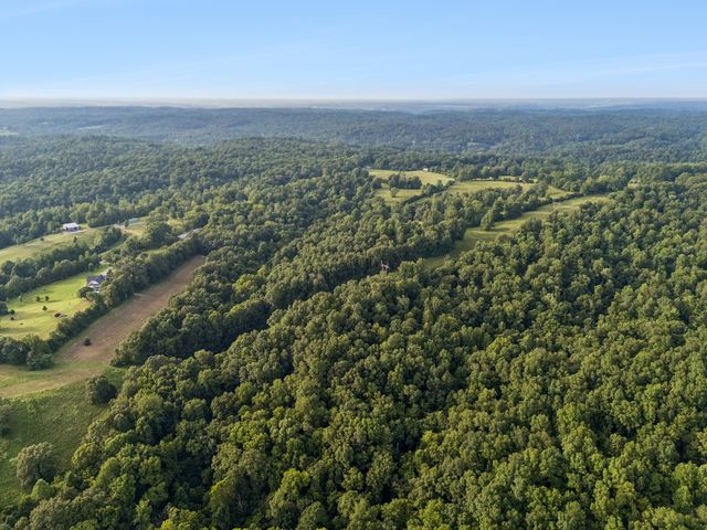 4 Shiloh Canaan Road, Palmyra, TN 37142