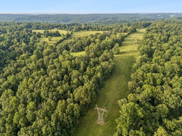4 Shiloh Canaan Road, Palmyra, TN 37142