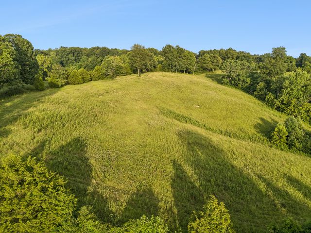 4 Shiloh Canaan Road, Palmyra, TN 37142