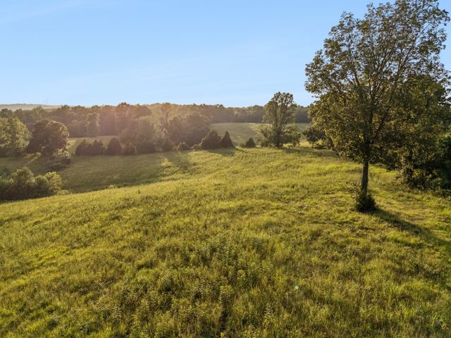 4 Shiloh Canaan Road, Palmyra, TN 37142