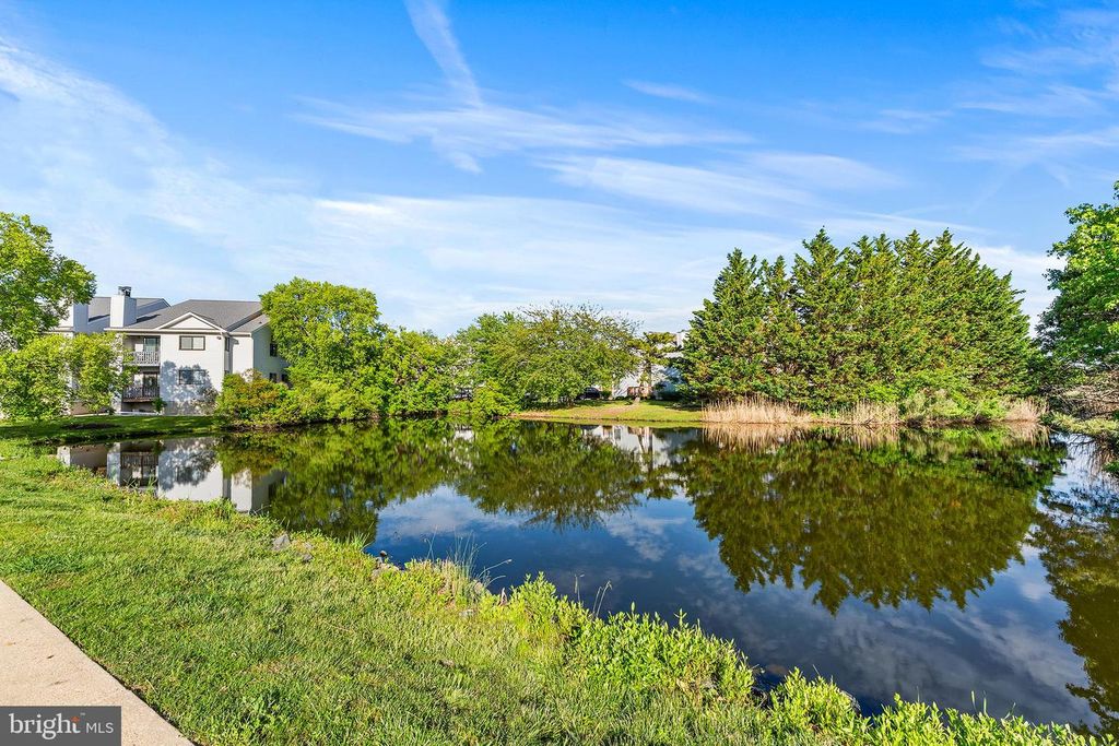 Image 29 of property listing at 1102 MARION QUIMBY DR, Stevensville, MD 21666