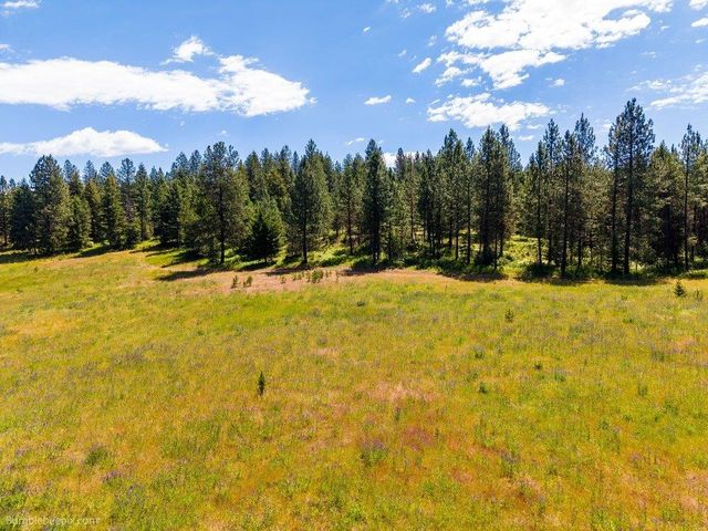 10307 E Jasmine Ln, Chattaroy, WA 99003