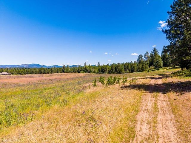 10307 E Jasmine Ln, Chattaroy, WA 99003