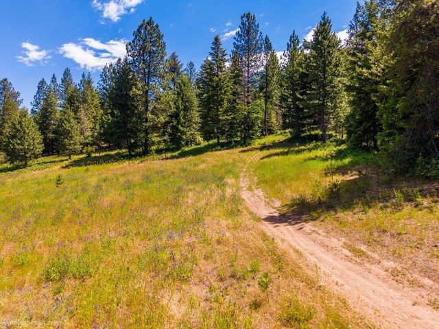10307 E Jasmine Ln, Chattaroy, WA 99003