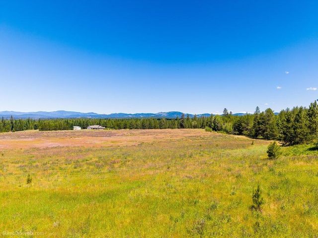 10307 E Jasmine Ln, Chattaroy, WA 99003