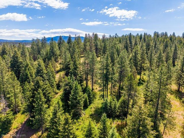 10307 E Jasmine Ln, Chattaroy, WA 99003