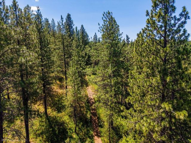 10307 E Jasmine Ln, Chattaroy, WA 99003