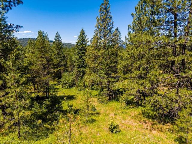 10307 E Jasmine Ln, Chattaroy, WA 99003