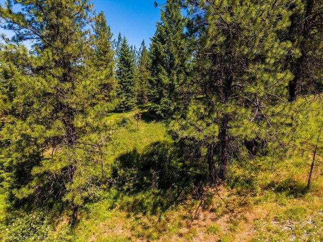 10307 E Jasmine Ln, Chattaroy, WA 99003