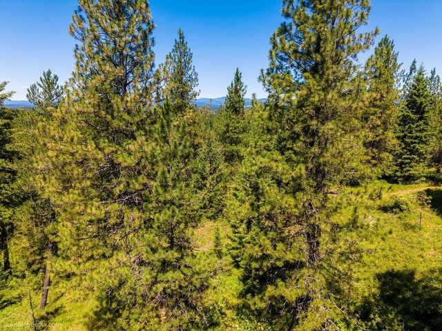 10307 E Jasmine Ln, Chattaroy, WA 99003