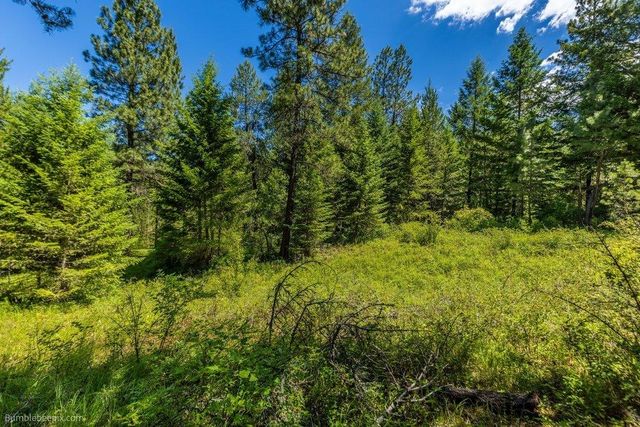 10307 E Jasmine Ln, Chattaroy, WA 99003