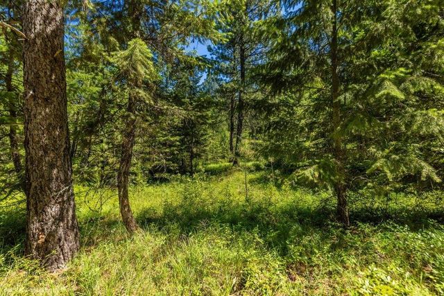10307 E Jasmine Ln, Chattaroy, WA 99003
