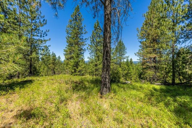 10307 E Jasmine Ln, Chattaroy, WA 99003