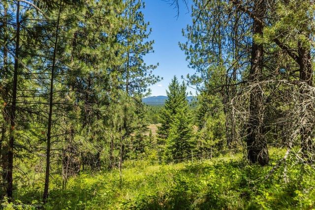 10307 E Jasmine Ln, Chattaroy, WA 99003