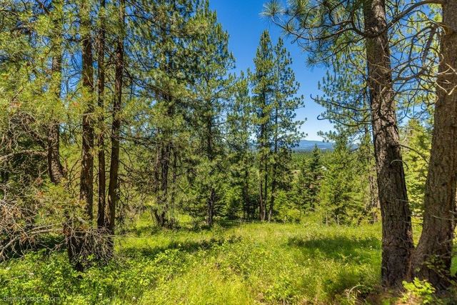 10307 E Jasmine Ln, Chattaroy, WA 99003