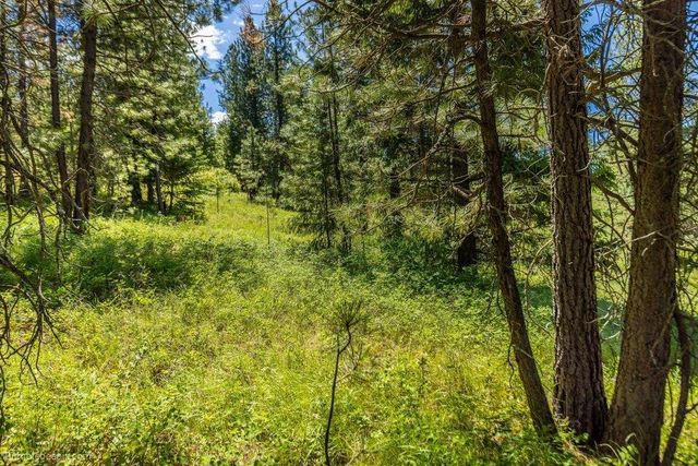 10307 E Jasmine Ln, Chattaroy, WA 99003
