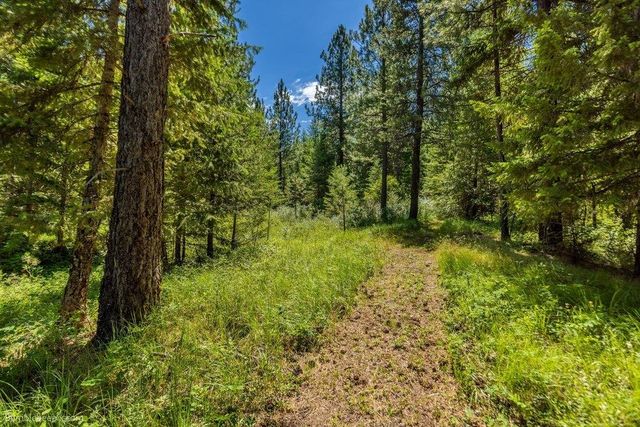 10307 E Jasmine Ln, Chattaroy, WA 99003