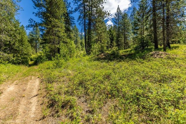 10307 E Jasmine Ln, Chattaroy, WA 99003