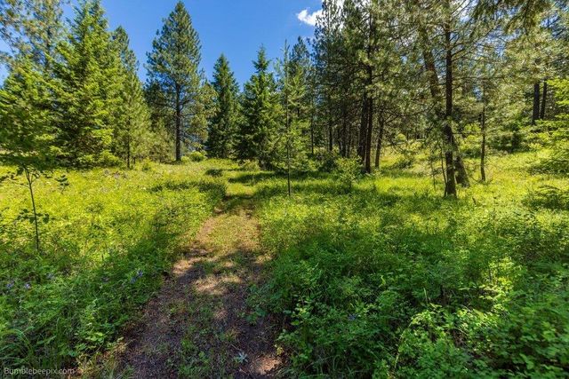 10307 E Jasmine Ln, Chattaroy, WA 99003