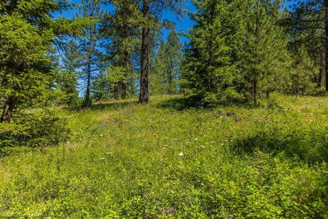 10307 E Jasmine Ln, Chattaroy, WA 99003