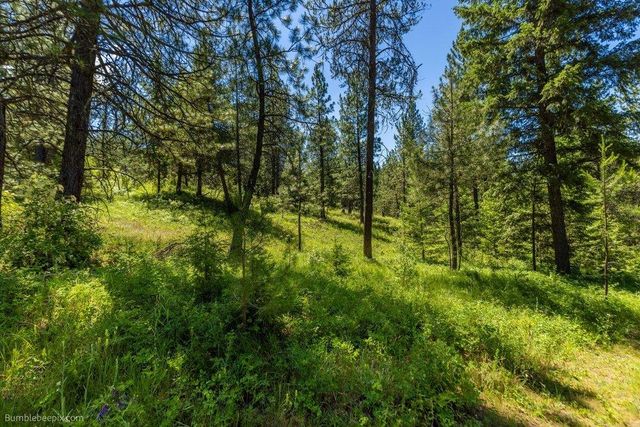 10307 E Jasmine Ln, Chattaroy, WA 99003