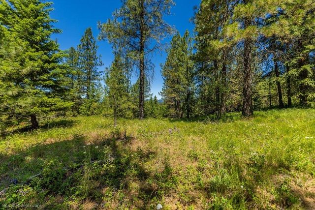 10307 E Jasmine Ln, Chattaroy, WA 99003