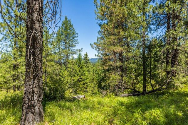 10307 E Jasmine Ln, Chattaroy, WA 99003