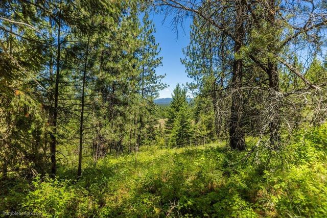 10307 E Jasmine Ln, Chattaroy, WA 99003