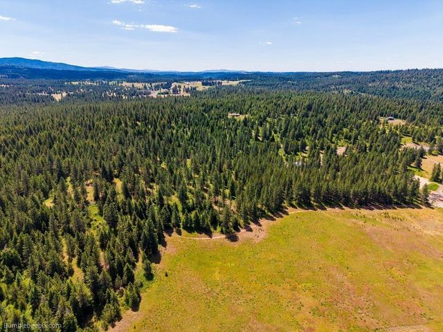 10307 E Jasmine Ln, Chattaroy, WA 99003