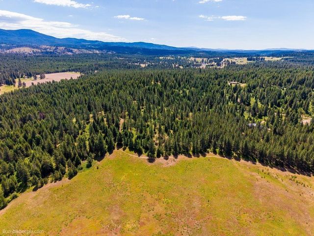 10307 E Jasmine Ln, Chattaroy, WA 99003