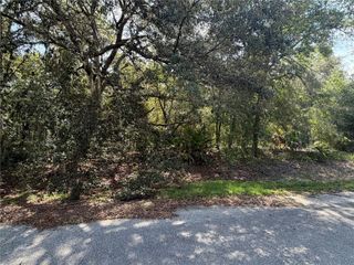 TBD MALAUKA PASS TRAIL, Ocklawaha, FL 32179