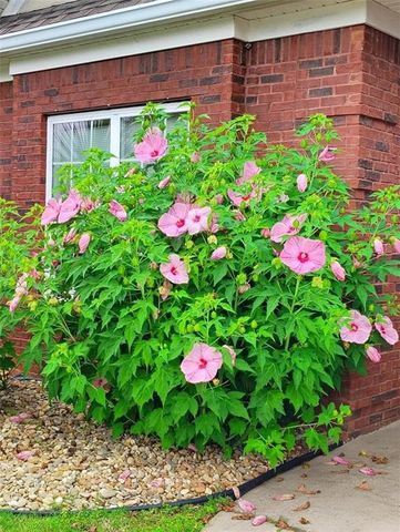 8513 Spivey Village Trail, Jonesboro, GA 30236