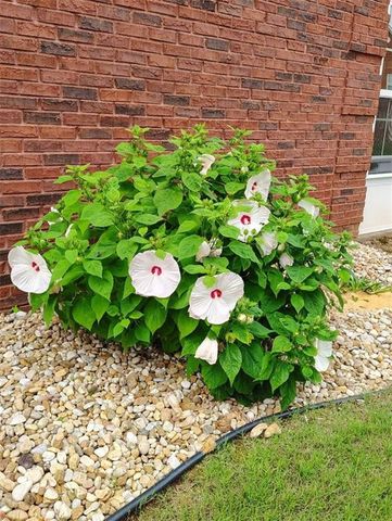 8513 Spivey Village Trail, Jonesboro, GA 30236