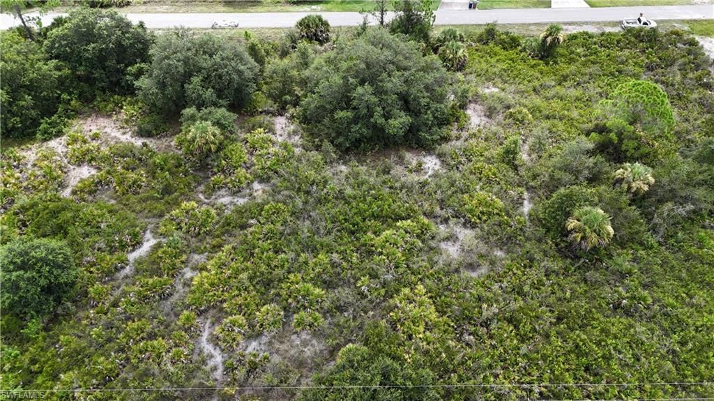1321 Hibiscus AVE, LEHIGH ACRES, FL 33972 — photo 4