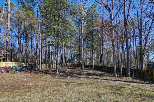 217 Underwood Court, Lexington, SC 29072