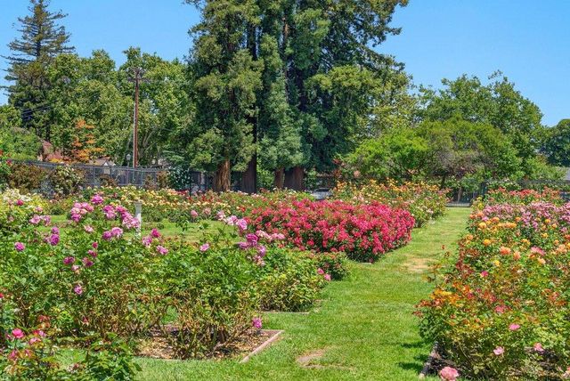 2377 Tulip Road, San Jose, CA 95128