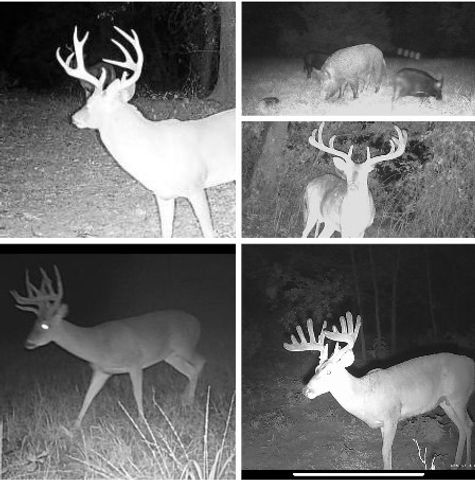 2488 County Road 2336, Como, TX 75431