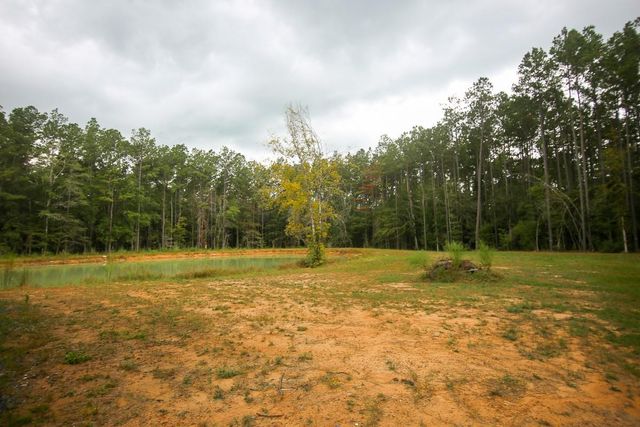 0 Jones Road, Kountze, TX 77625