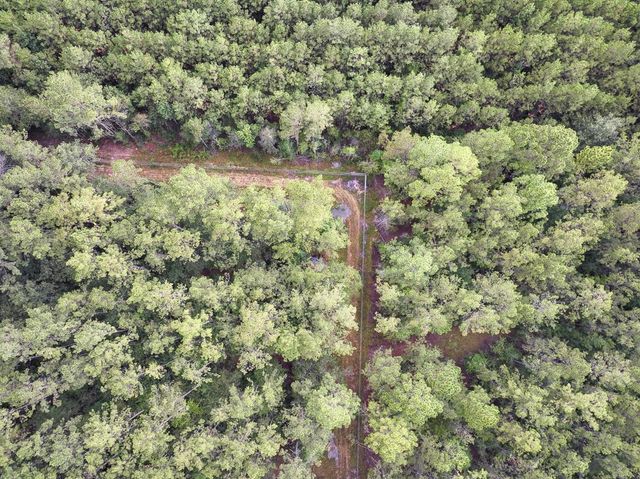 0 Jones Road, Kountze, TX 77625