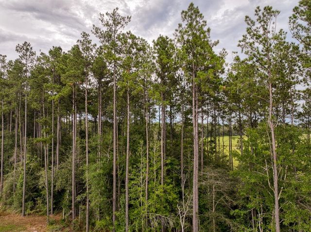 0 Jones Road, Kountze, TX 77625